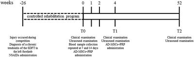 Case Report: Repeated Intralesional Injections of Autologous Mesenchymal Stem Cells Combined With Platelet-Rich Plasma for Superficial Digital Flexor Tendon Healing in a Show Jumping Horse